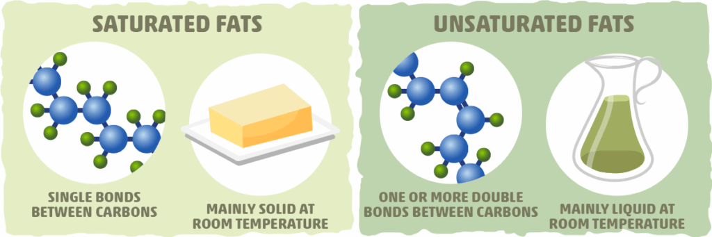 Oil vs Butter. Saturated fat vs unsaturated.