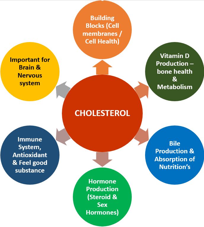 cholesterol