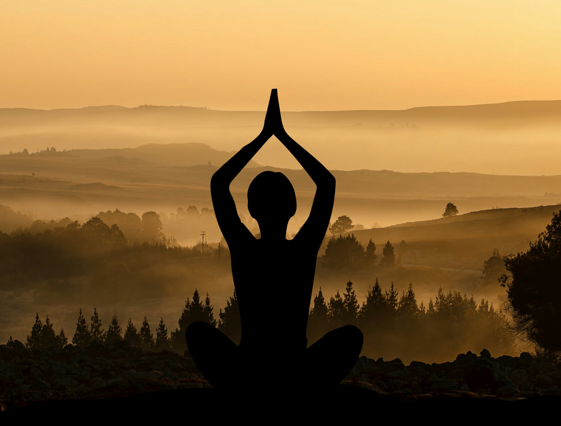 woman in yoga pose