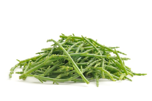 samphire iodine rich foods